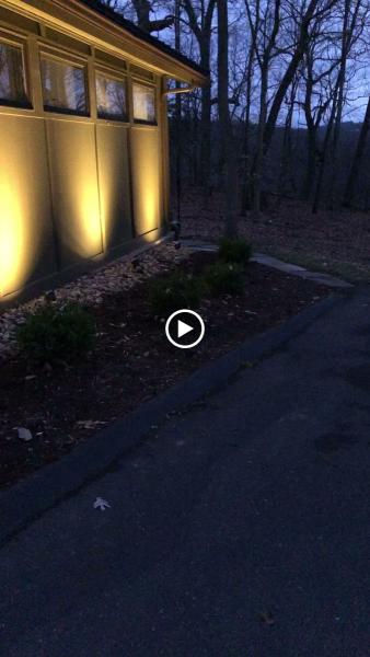 Luxury Landscape Lights