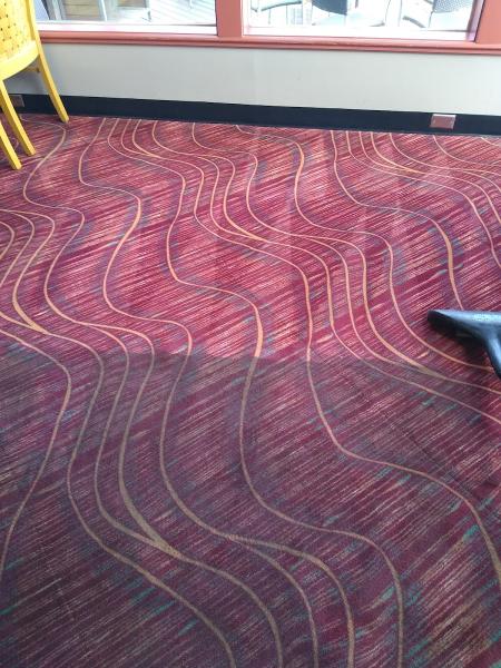 Excel Carpet Cleaning