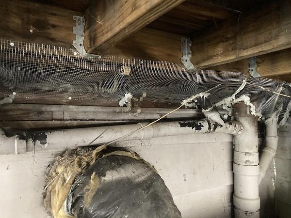 Socal Certified Pest Control Services