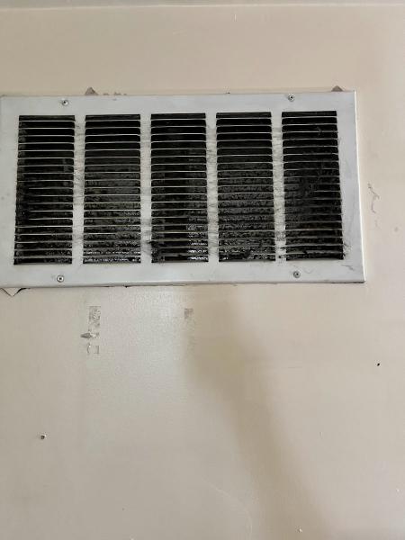 Naturallyneat Cleaning Services