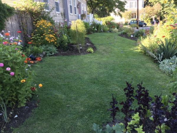 Paterson's Gardenscapes