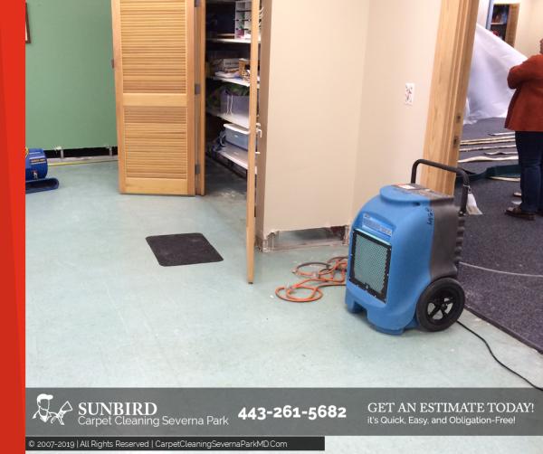 Sunbird Carpet Cleaning Severna Park