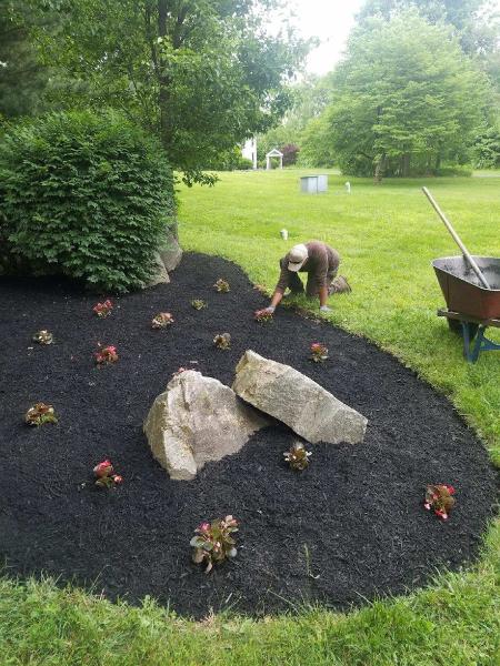 Red Oak Landscaping and Lawn Maintenance