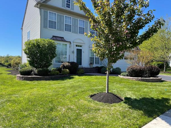 Red Oak Landscaping and Lawn Maintenance