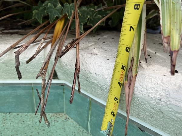 Full Circle Home Inspectors