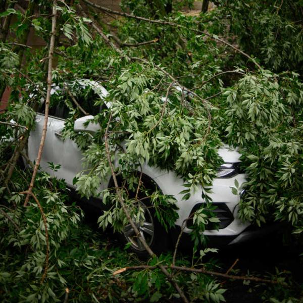 Happy Tree Service