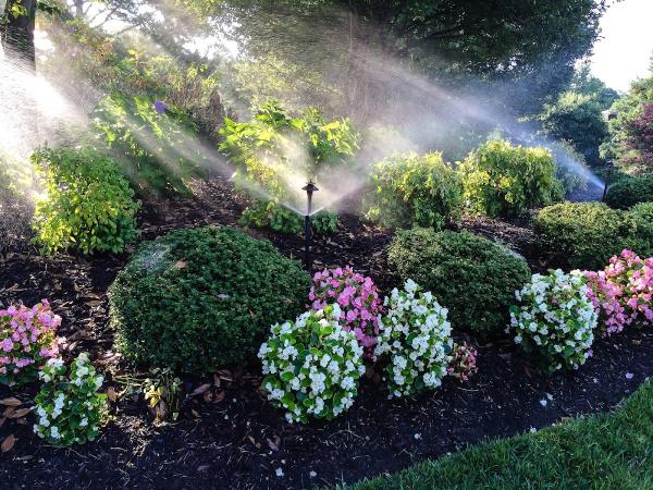 Miller Irrigation & Landscape Lighting