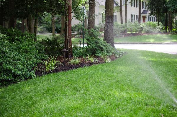 Miller Irrigation & Landscape Lighting