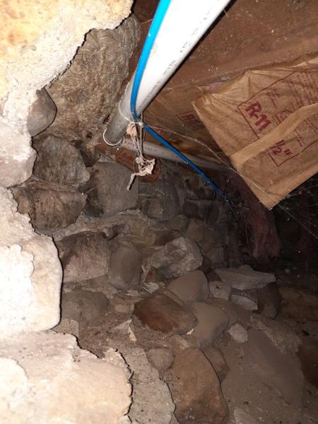 Ark Foundation Repair