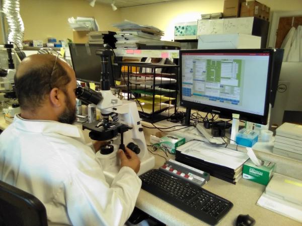 Air Allergen & Mold Testing