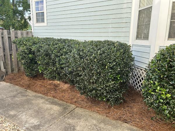 New Visions Lawn & Landscape