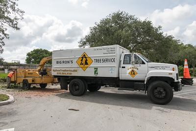 Big Ron's Tree Service