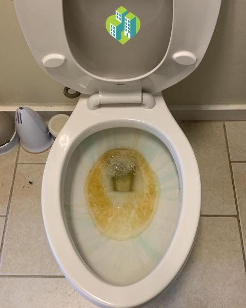Clean It All Jax
