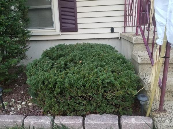 Sarmiento's Lawncare Llc