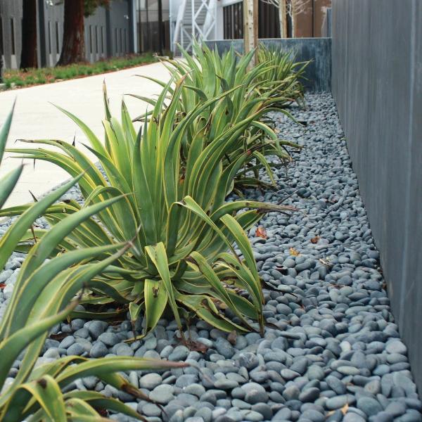 SSA Landscape Architects