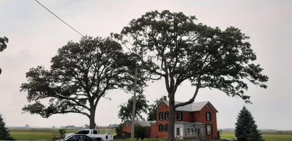 S & A Tree Service Fort Wayne