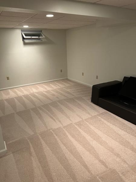 Evolution Carpet Care