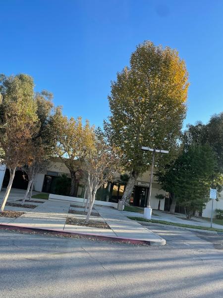 I&A Tree Services