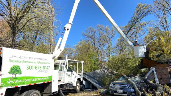 Milton's Tree Care Services LLC