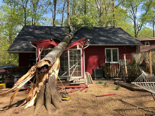 Milton's Tree Care Services LLC