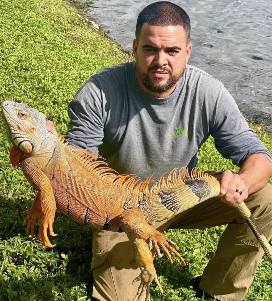 Humane Iguana Control