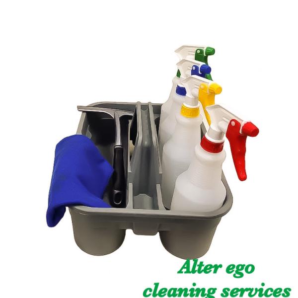 Alter Ego Cleaning Services
