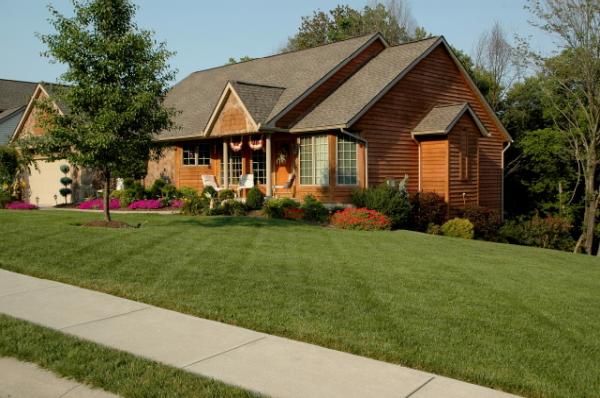 Sierra Sod