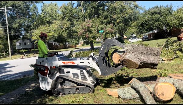 New Creation Tree Service