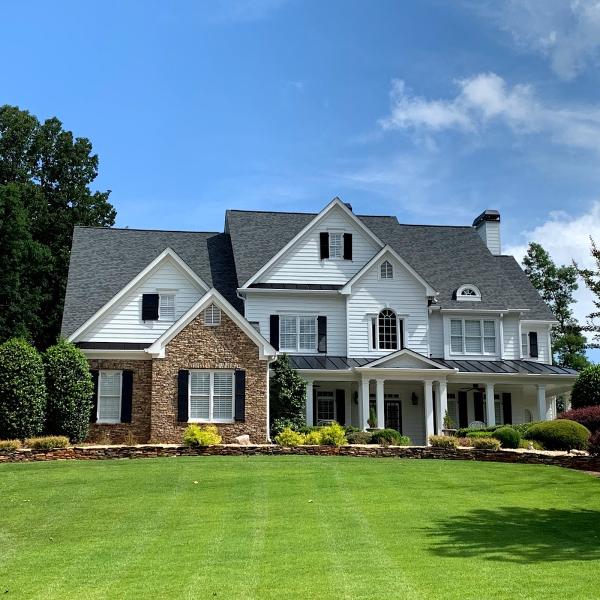 Painting Solution and More