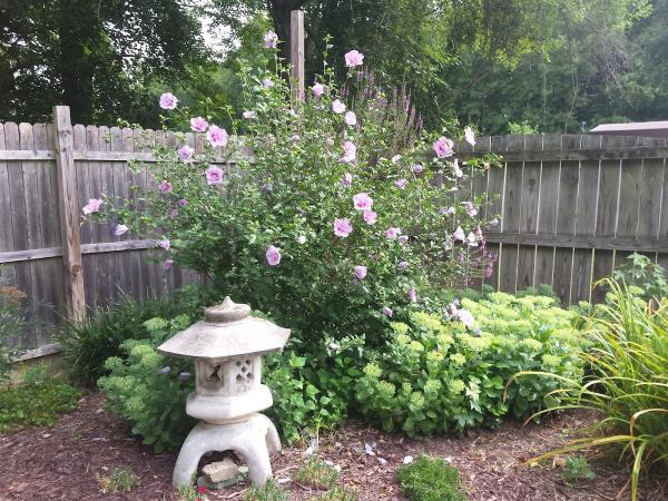 Fifty Plus Home Services LLC