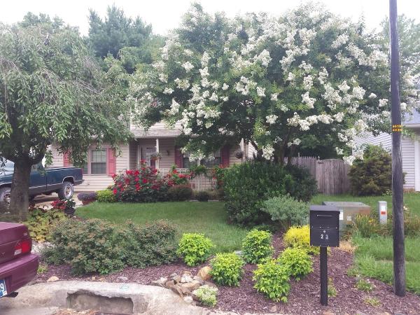 Fifty Plus Home Services LLC