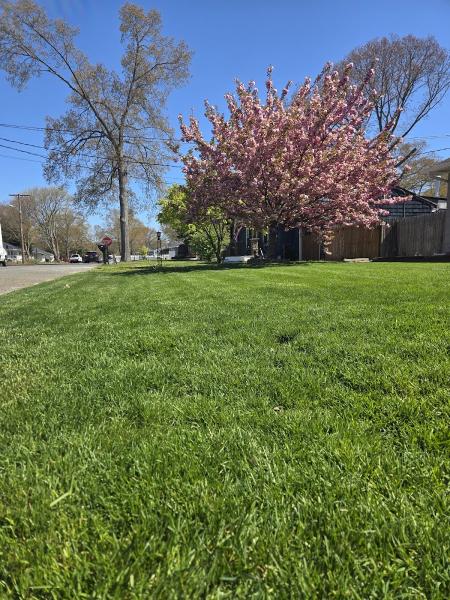 Keepin it Green Landscaping LLC