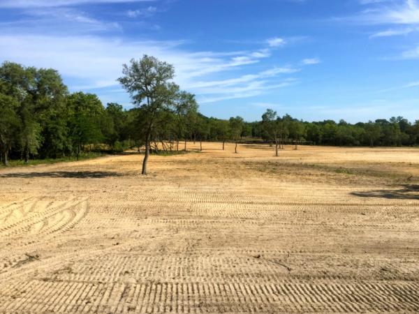 New Beginning Tree Service Company