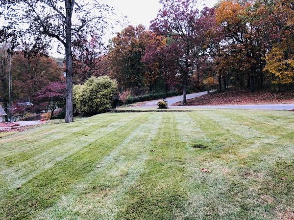 Baltazar's Lawn Care
