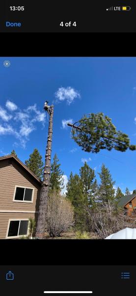 North Lake Forestry