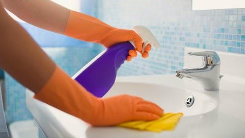 Roxanne's Cleaning Service Inc.
