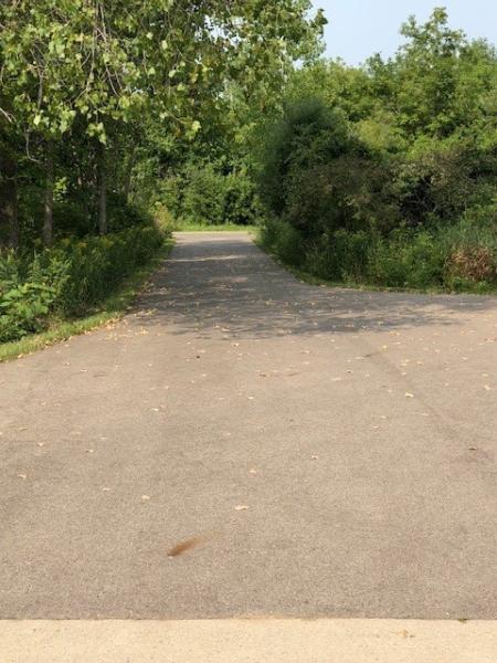 Great Lakes Asphalt Solutions LLC