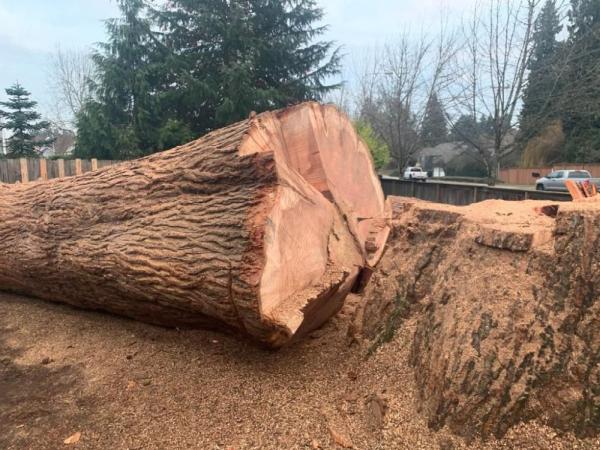 Watts Tree Service