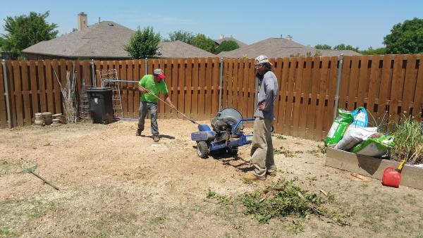 Arborwise Tree Service