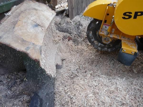 Removemystump.com