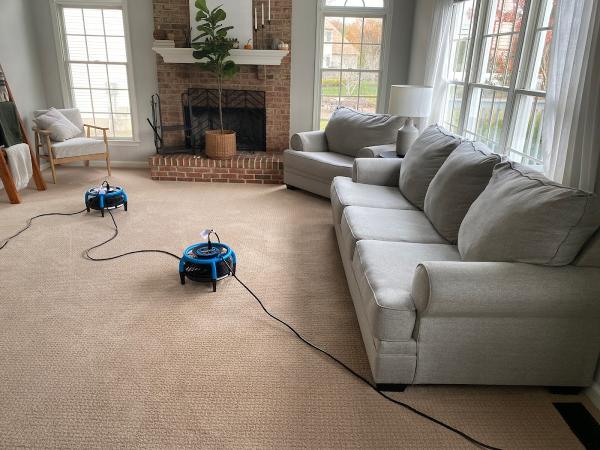 Pure Surface Care