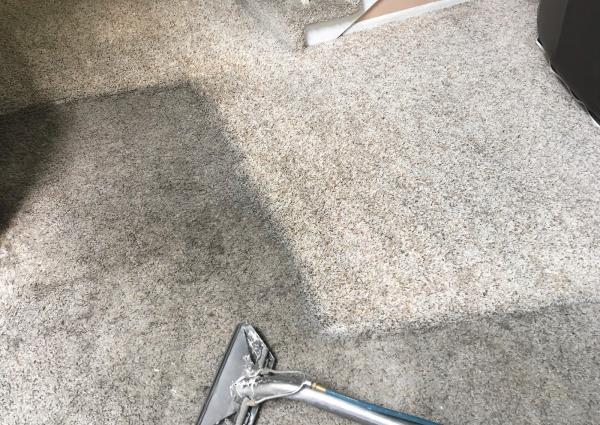 Carpet Savers