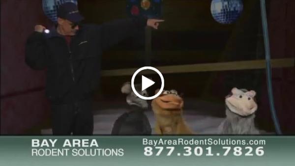 Bay Area Rodent Solutions