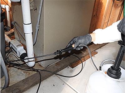 Bay Area Rodent Solutions