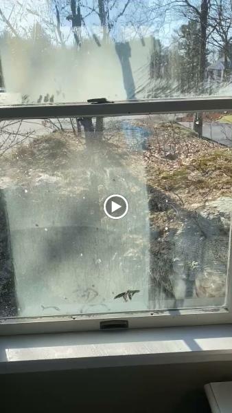 Viewcrew Window Washing