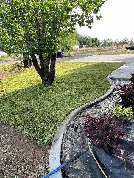 Ultimate One Landscaping
