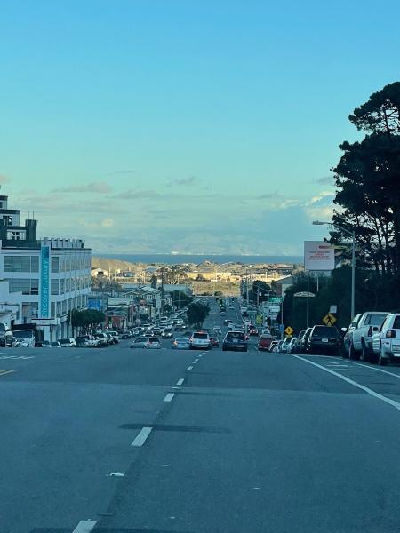Tree Service San Francisco