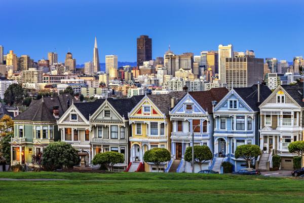 Tree Service San Francisco