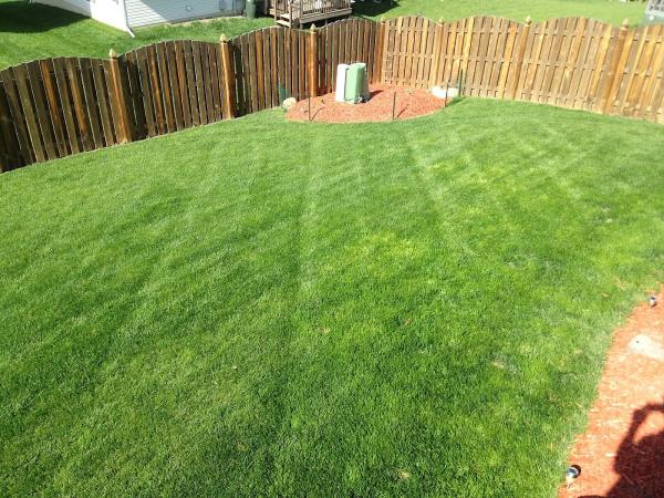 Storm Irrigation
