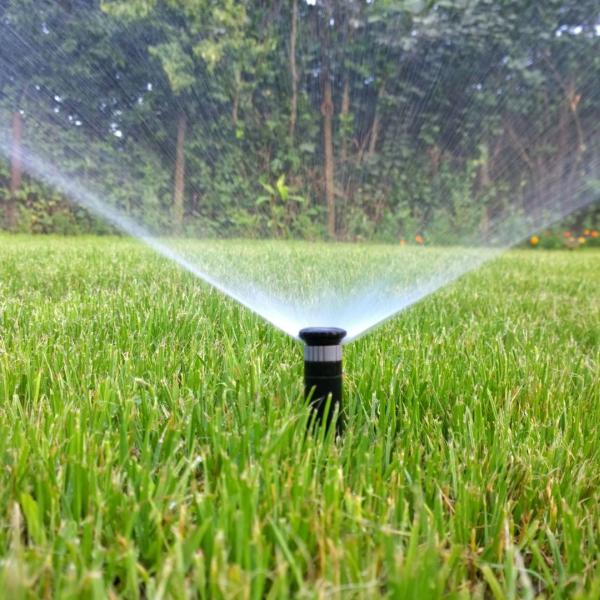Nature's Helper
